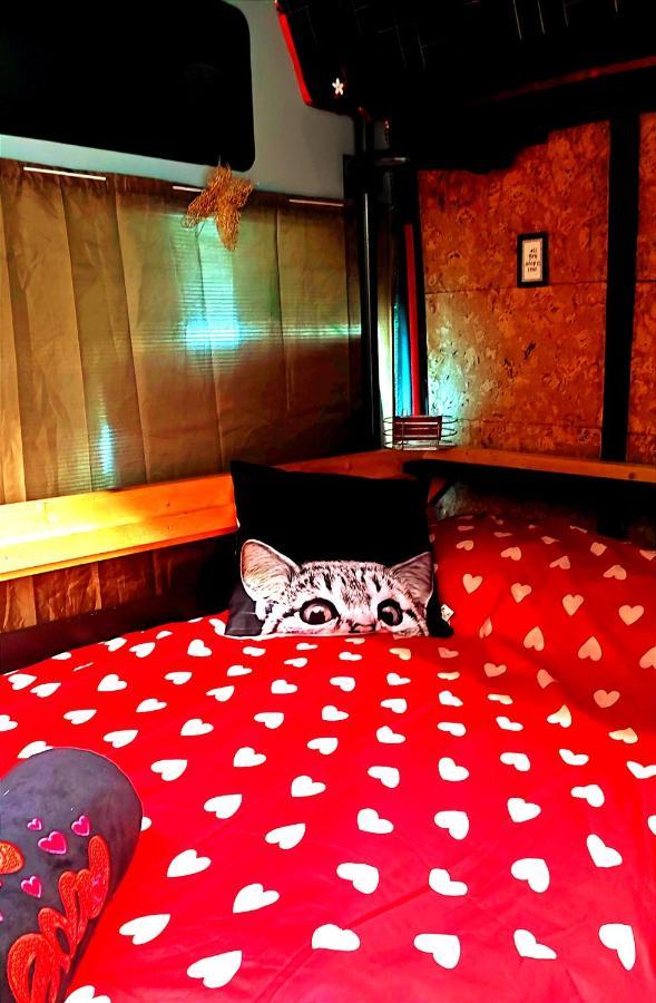 Rinconcito Dreams Hotel Tahiche Ngoại thất bức ảnh